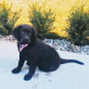 Meet your Posher, Alaina